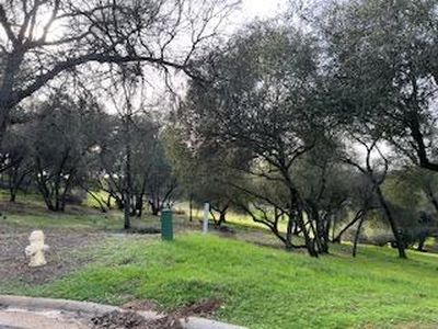 326 Mill Ct, Angels Camp, CA, 95222