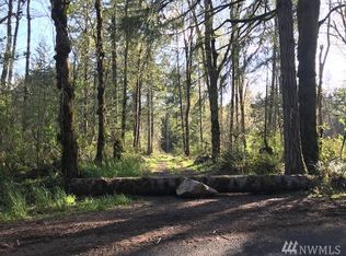 419 Wright Rd SE, Tenino, WA 98589