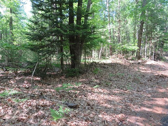 2nd image of ON DRURY LANE LOOP #2.5 Acres