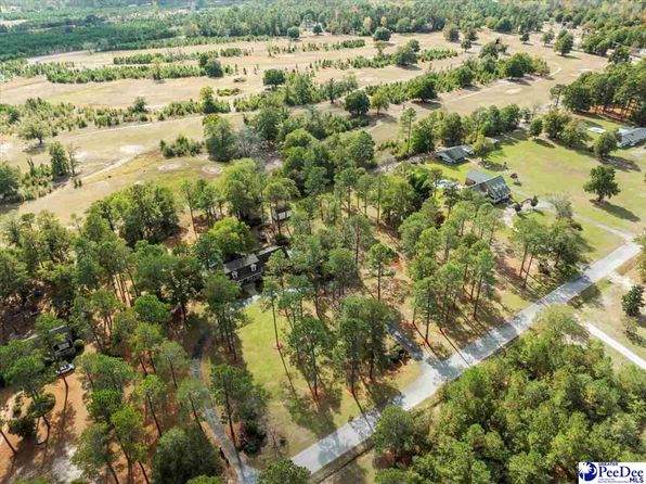 7347 Crutchlow Ct, Nichols, SC 29581