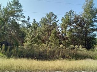 Fisher Run LOT 12, Ocklawaha, FL 32179