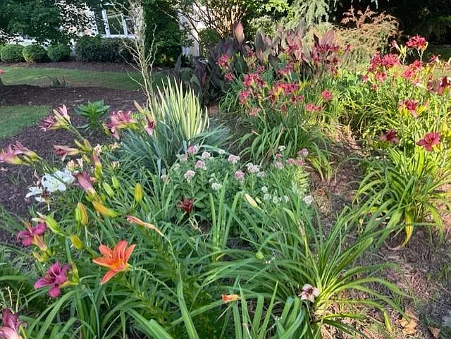 Spring/summer blooms
