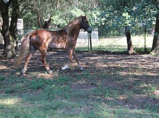 5525 Gray Rd, Zephyrhills, FL 33543