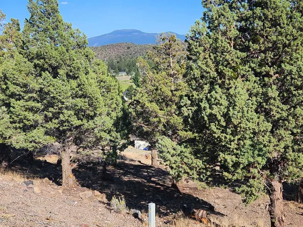 LOT 154 Stag Mountain Rd, Weed, CA 96094