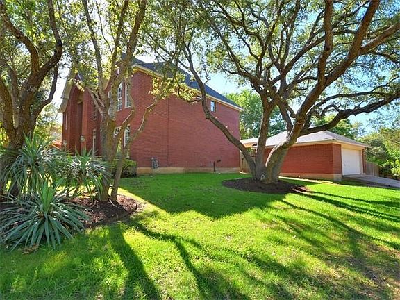 Lots of limbs ready for tree swings!