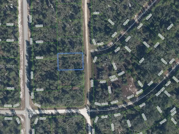 3292 Gossamer Ave, Lake Placid, FL 33852