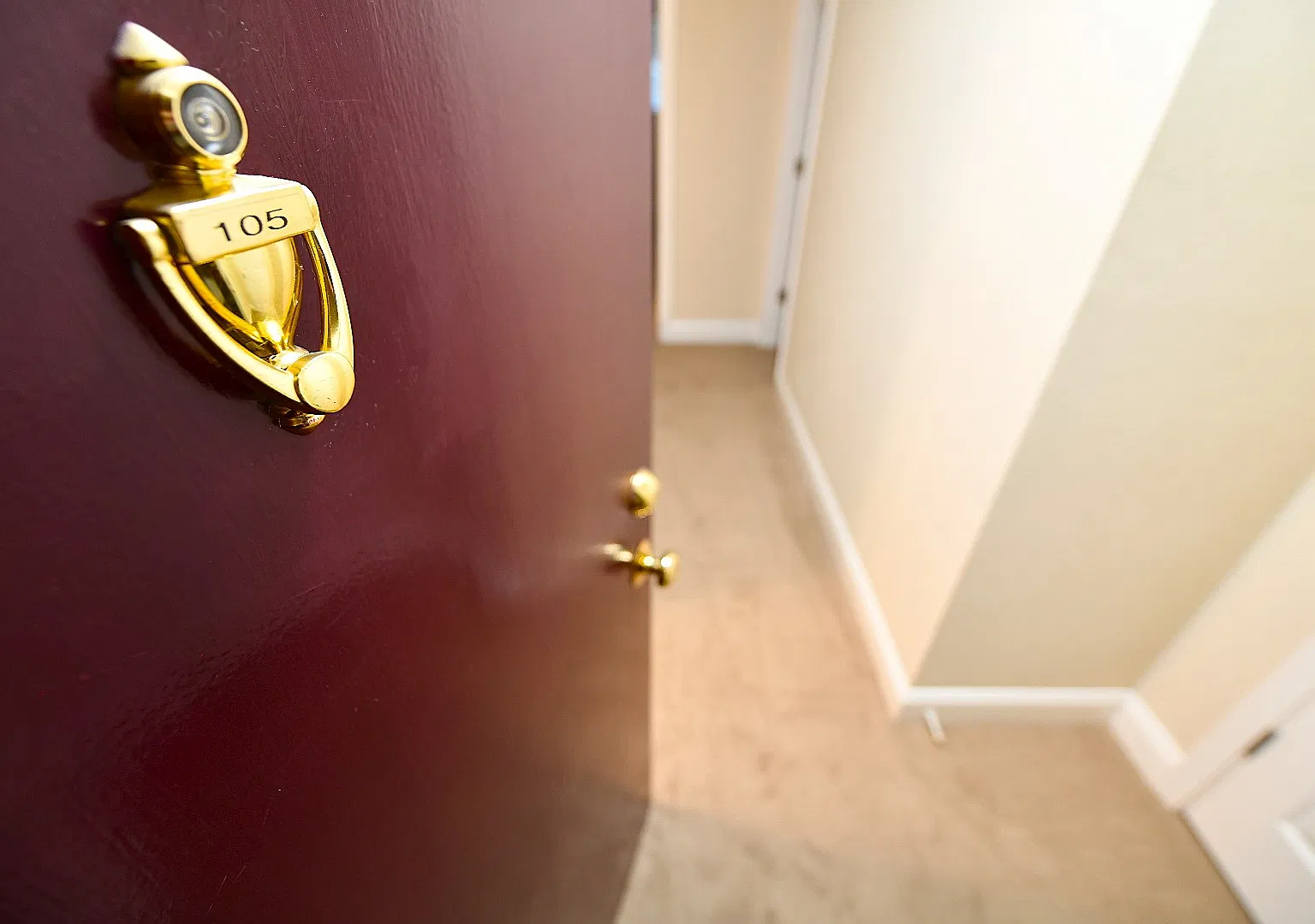 1 bed, $1,850 — Photo 2