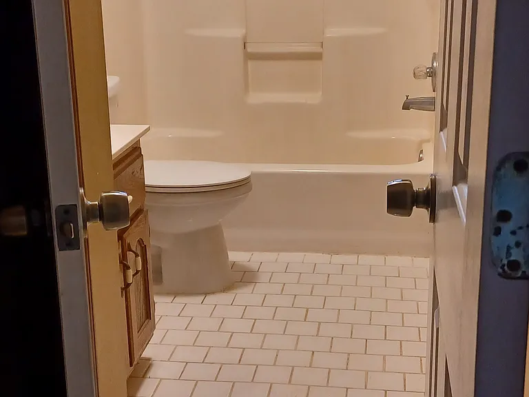 Main Bath