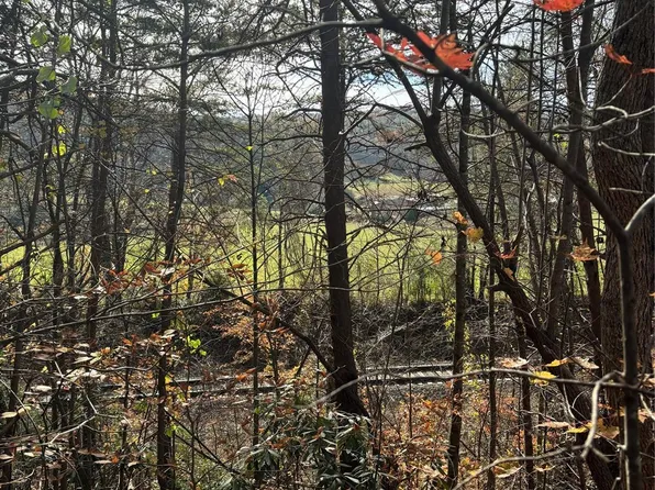 78 Secluded Cir, Marion, NC 28752