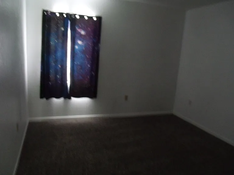 915 Shirley Ann Trl #915 — Photo 5