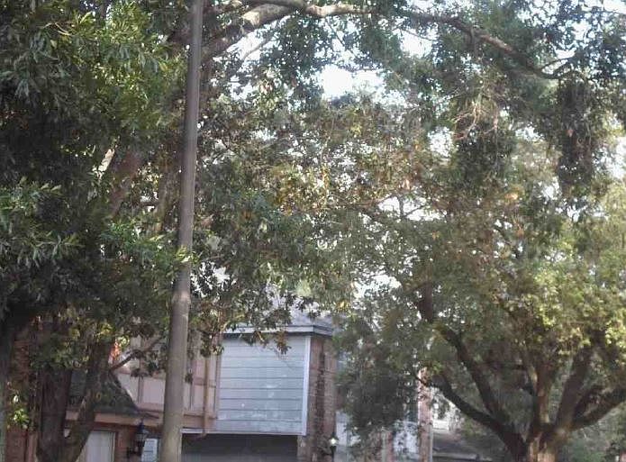2nd image of 42 Heritage Ln