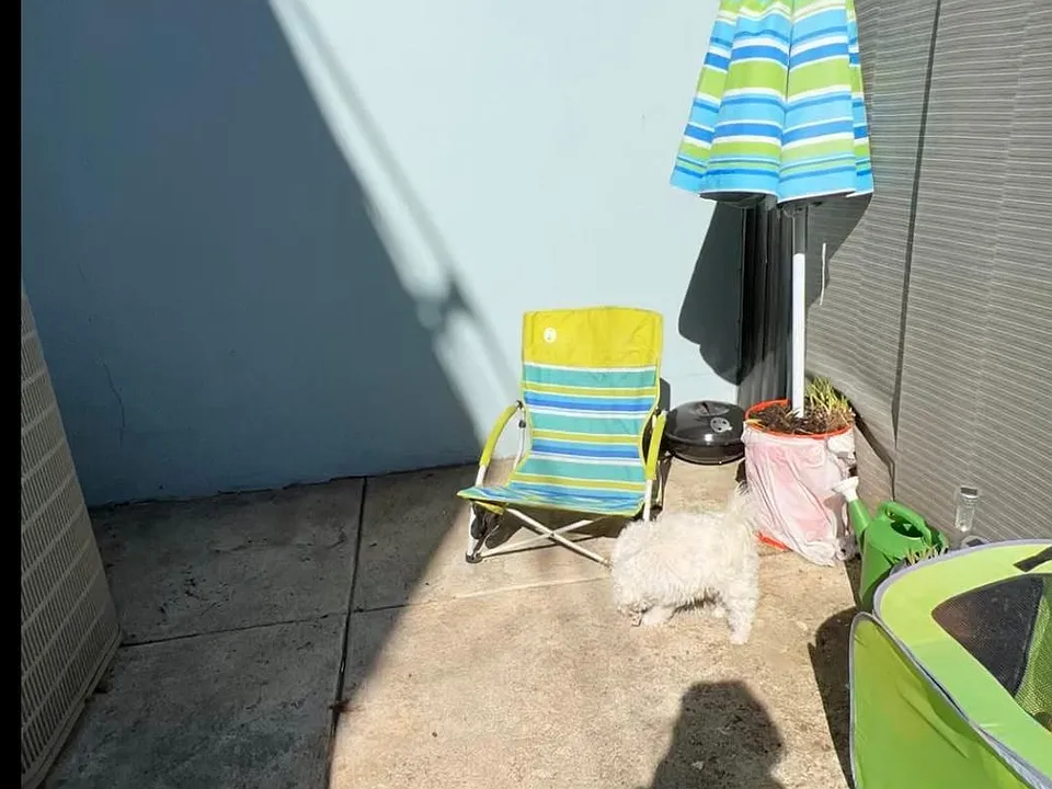 Rear outdoor patio