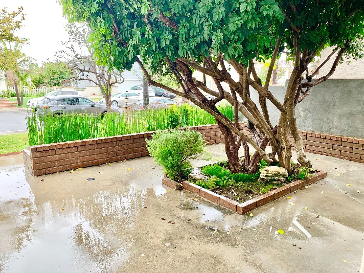Five Bedroom Single Family Home in Irvine! — Photo 3