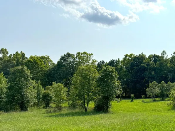 0 Fearstown Rd Parcel 3, Randolph, VA 23962