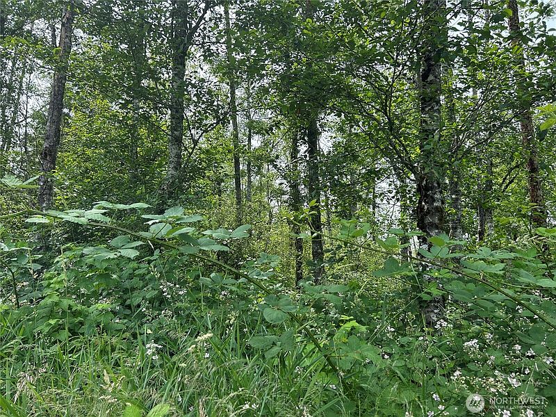 5th image of 3474 Old Highway 99 Road N