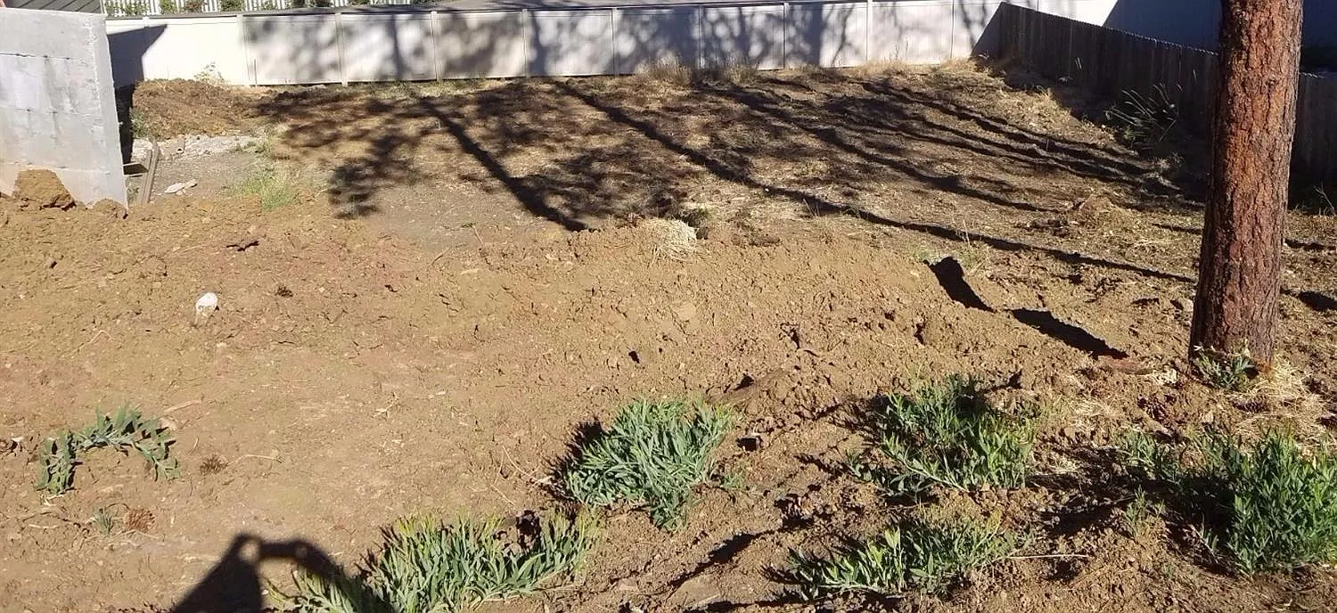 110 Linda Ln photo 1