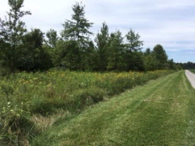 2nd image of Watkins Starkey Rd