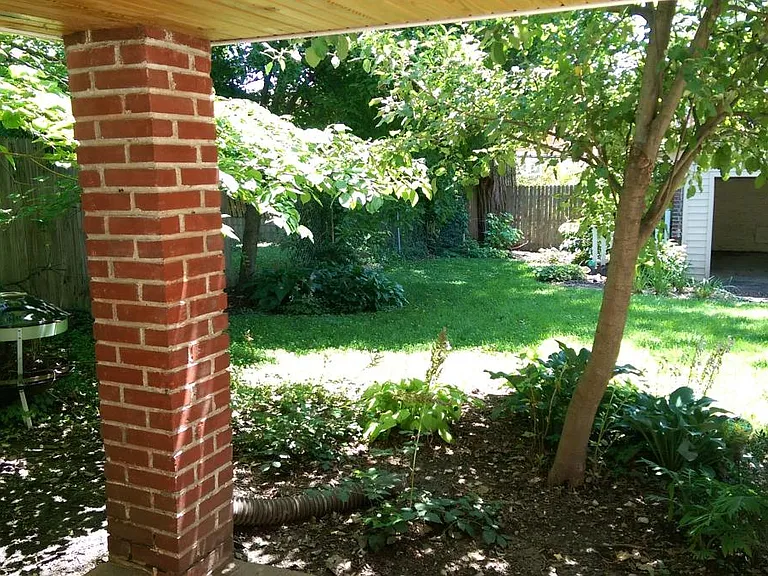 back yard