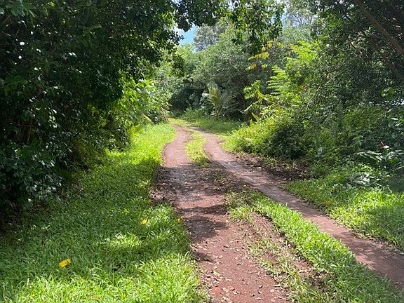 3rd image of Hilo St Lot 533