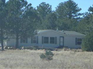 1826 P Path, Cotopaxi, CO 81223