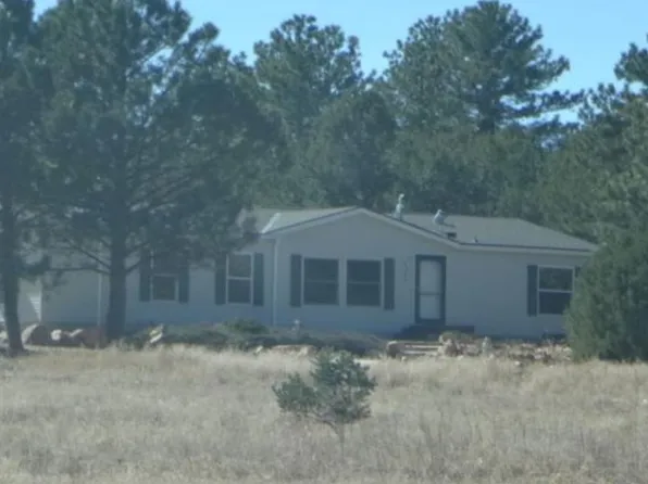 1826 P Path, Cotopaxi, CO 81223
