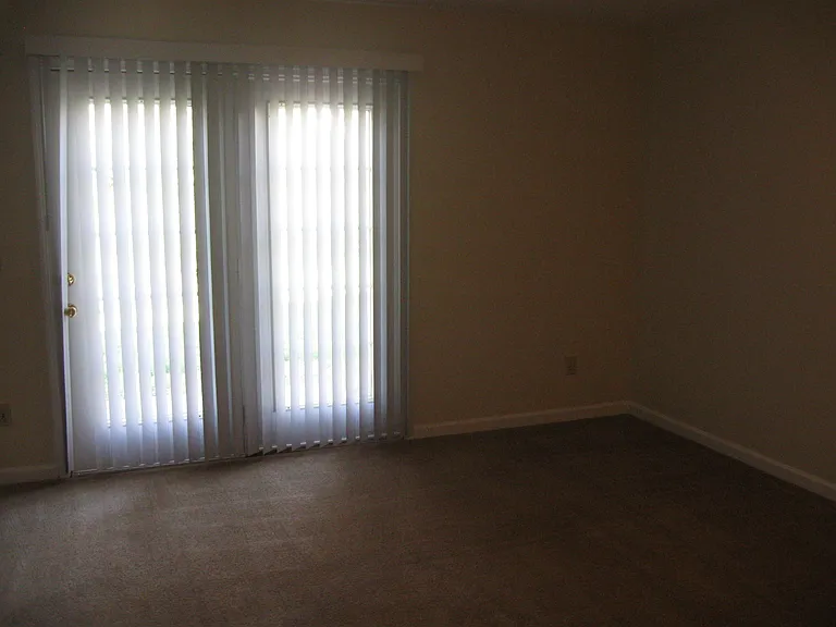 356 Bailey Run Ln — Photo 6