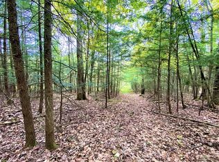 Tinkertown Rd LOT 43, Addison, NY 14801