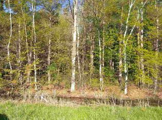 5400 S Graham Rd, Saint Charles, MI 48655