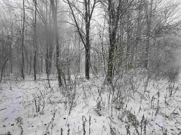 8 Bobolink Dr, Terra Alta, WV 26764