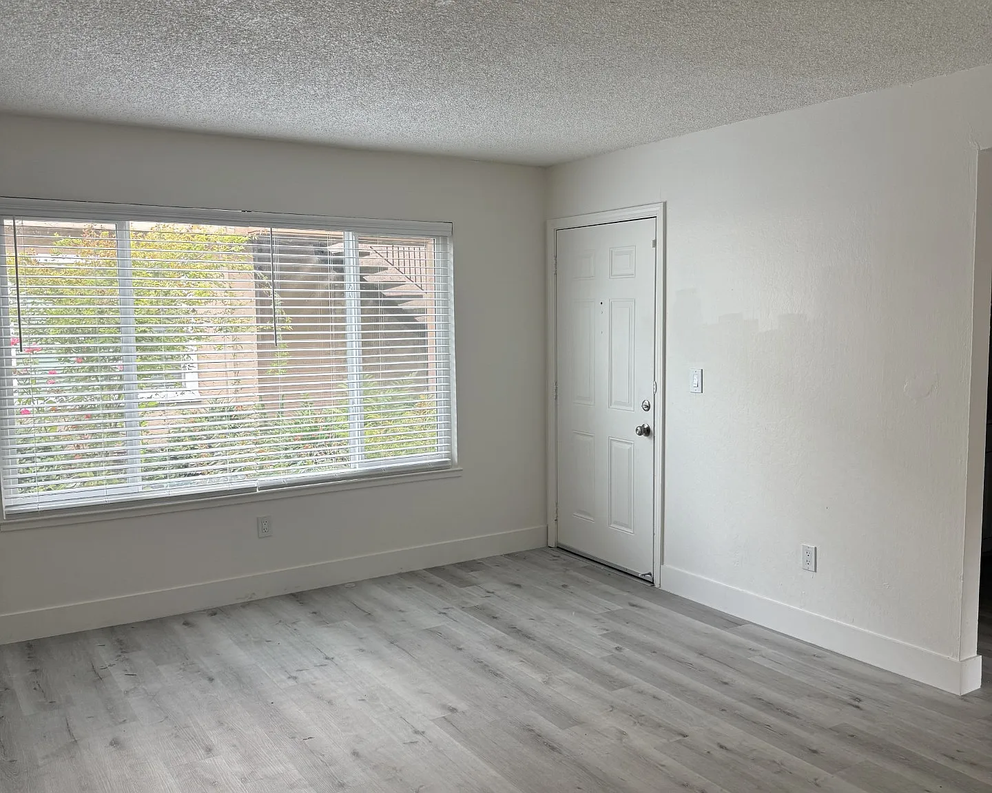 1 bed, 500 sqft, $1,615 — Photo 3