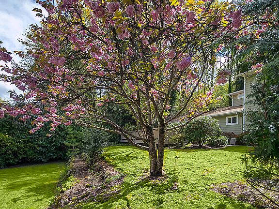 2nd image of 10005 Forbes Creek Dr