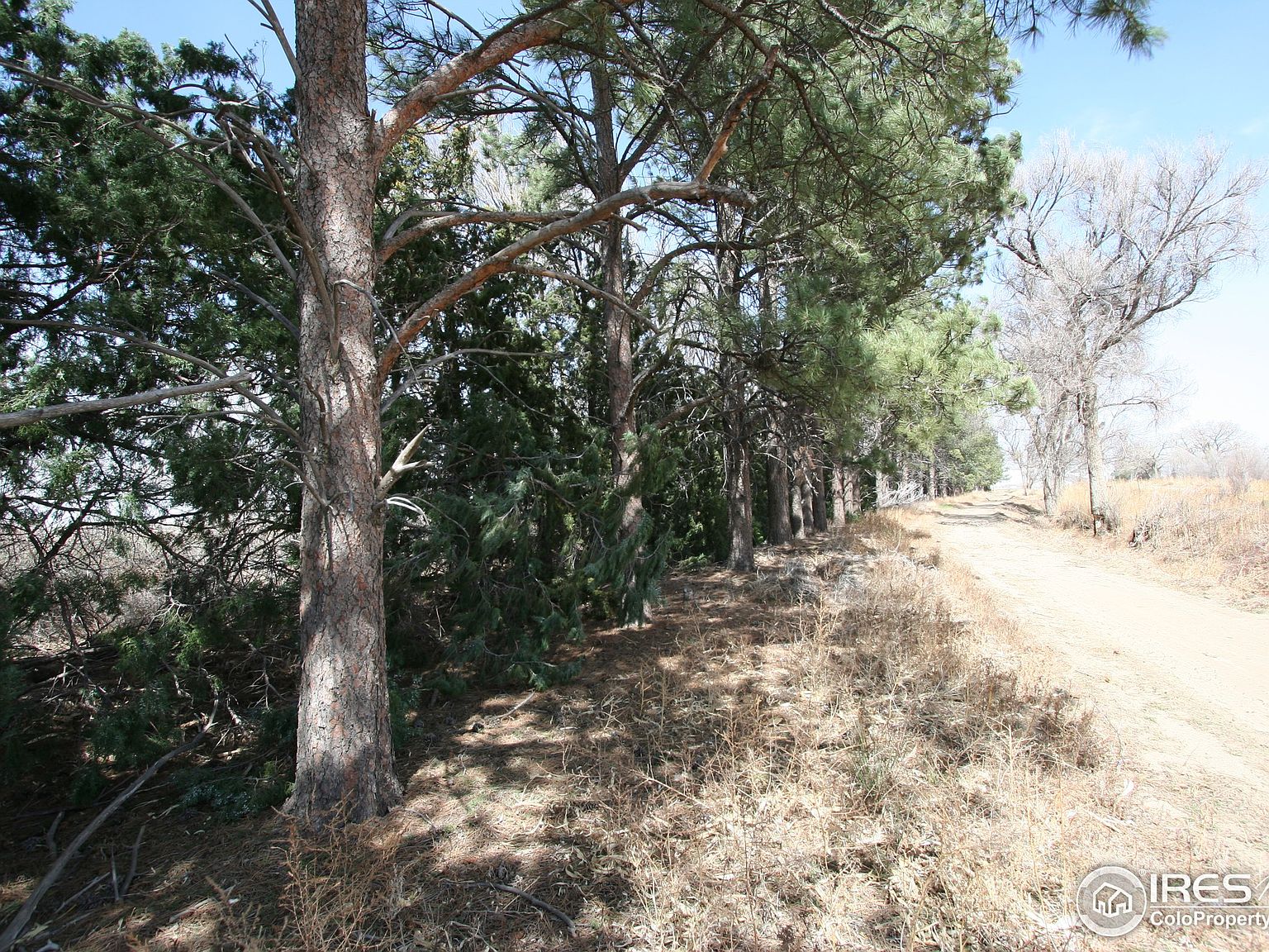 0 County Road 14, Fort CO 80701 MLS 963657 Zillow