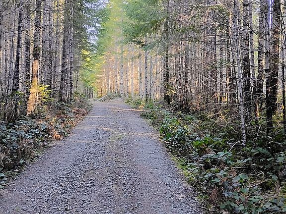 5th image of 0 Skate Creek Rd S