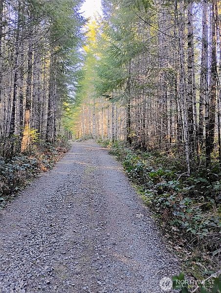 5th image of 0 Skate Creek Road S