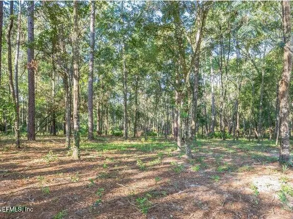 4843 ALLIGATOR Boulevard, Middleburg, FL 32068