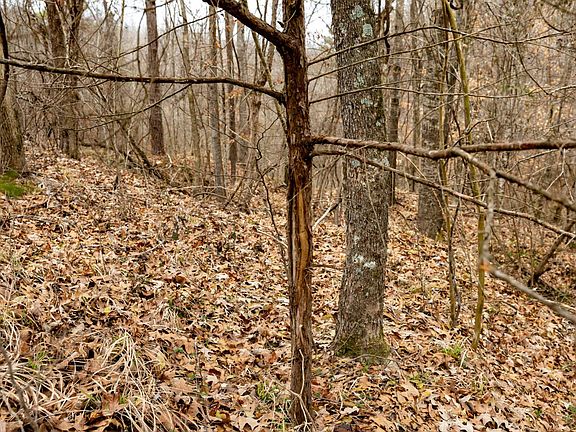 2nd image of 0 Oak Ridge Rd