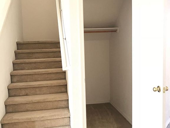 Stairs/Downstairs Closet