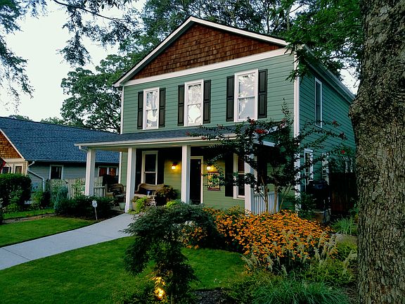 Beautiful tree canopy
