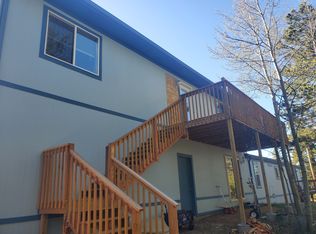 173 Alpine View Rd, Divide, CO 80814