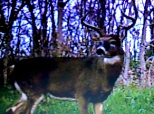 84181 Bargar Rd, Cadiz, OH 43907