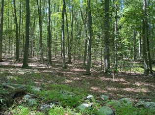 10 Newman Rd, Hardwick, NJ 07825