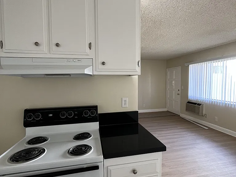 Palm Terrace Apartments — Photo 9