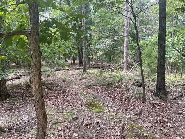 1 Beartrap Rd, Springdale, AR 72764