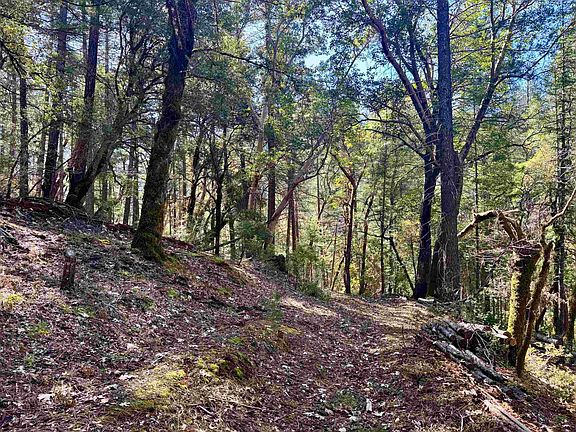 4th image of Out 16n01 Forest Rd