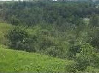 2855 Curtisville Rd, South Branch, MI 48761