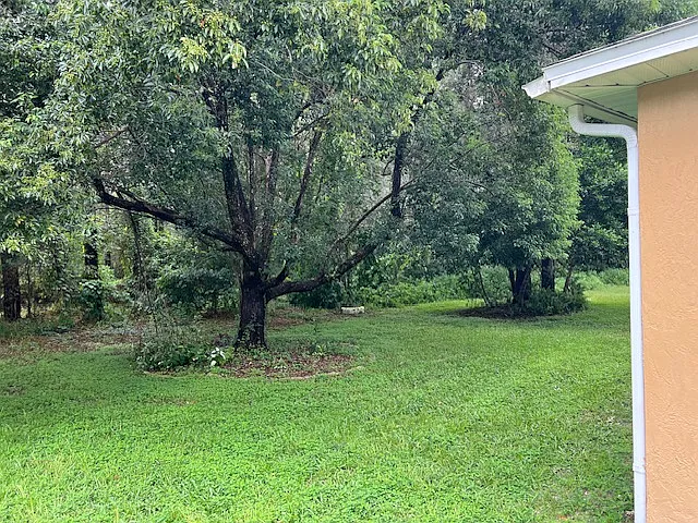Backyard with no rear neighbors