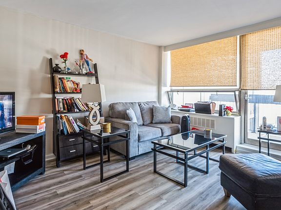 5th image of 1360 N Sandburg Ter APT 2106C