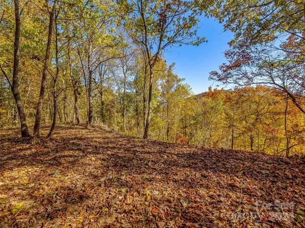 99999 Busbee Mountain Rd, Asheville, NC 28803