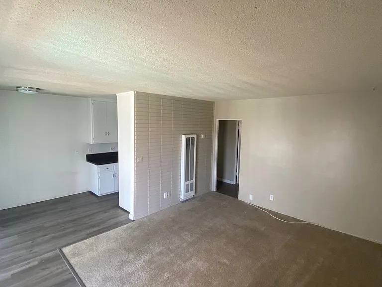 535 E Adams St #15 — Photo 17