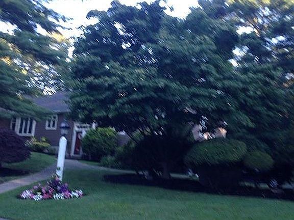 3rd image of 4 Westover Dr